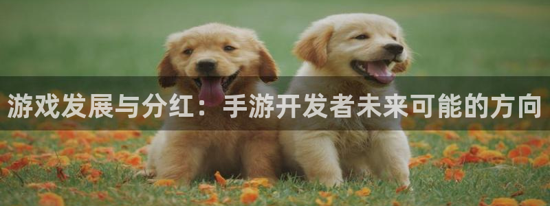 蓝图娱乐杀最厉害三个组合：游戏发展与分红：手游开发者未来可能