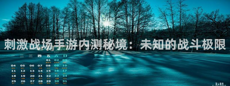 28大神开奖预测：刺激战场手游内测秘境：未知的战斗极限