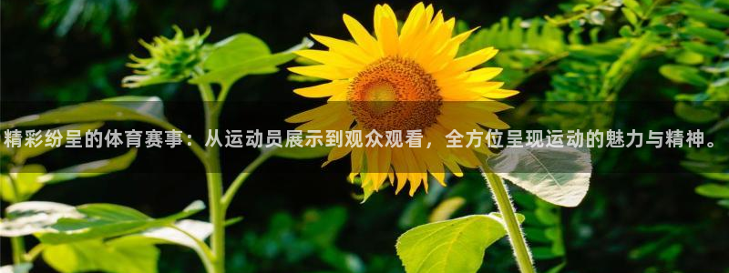 678体育官网地址