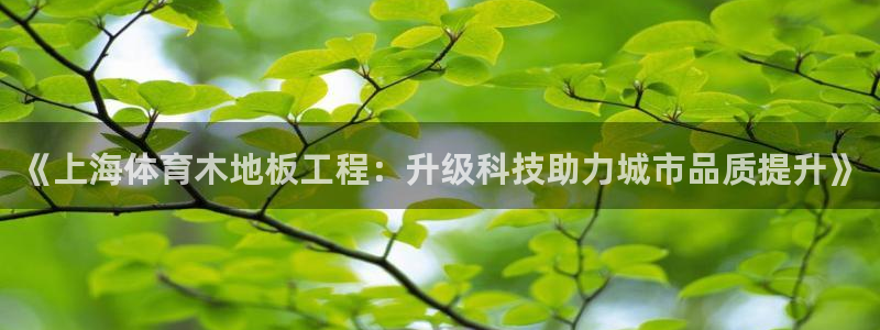 678体育官网下载