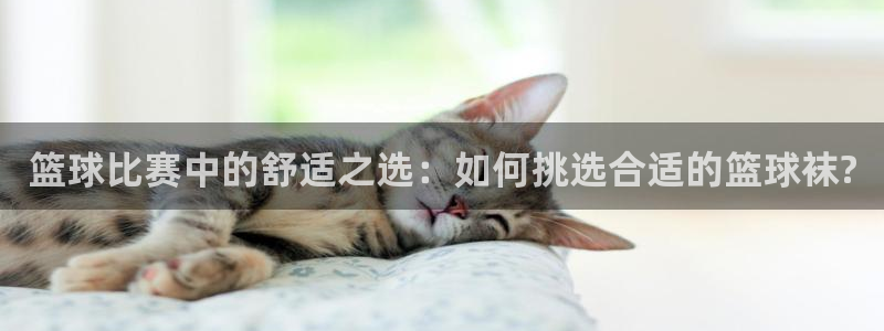 678体育官网