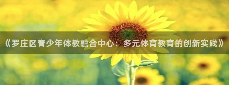 678体育app