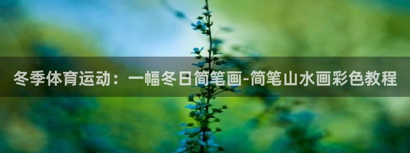 678体育官网下载