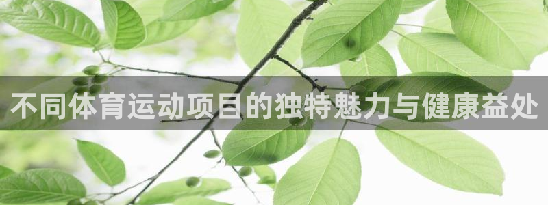 678体育知识