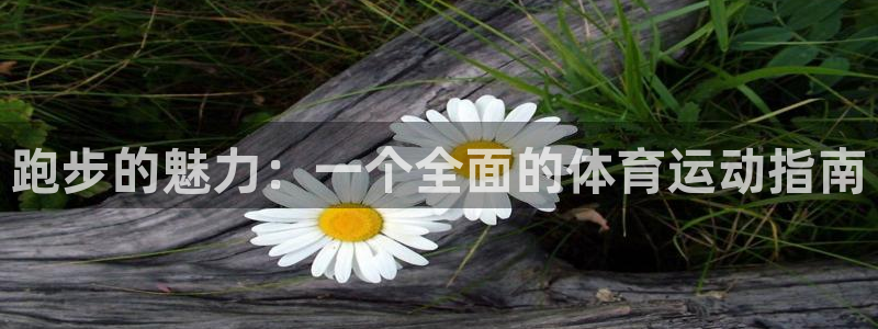 皇冠678体育