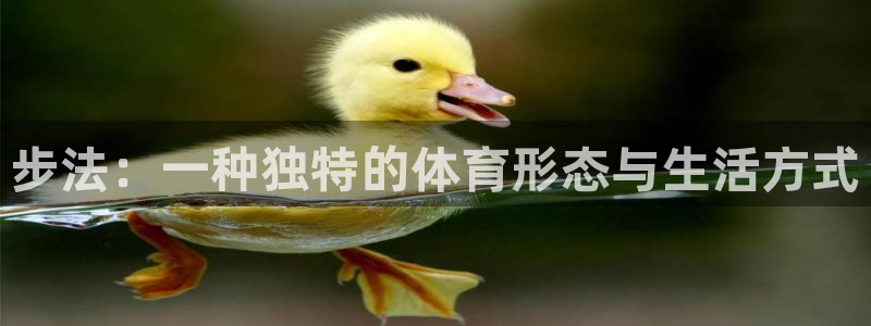 678体育app